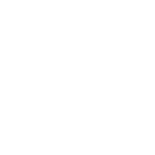 BIGLIG Logo
